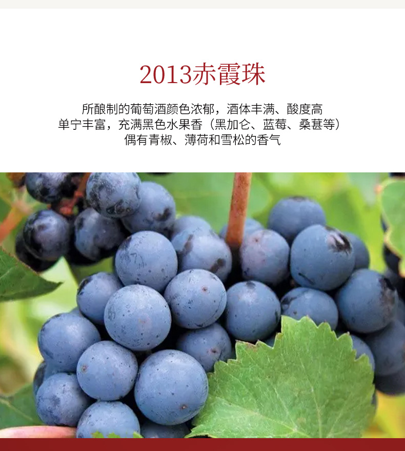 西夏王葡萄酒宁夏贺兰山东麓产区开元1984赤霞珠干红750ml单瓶