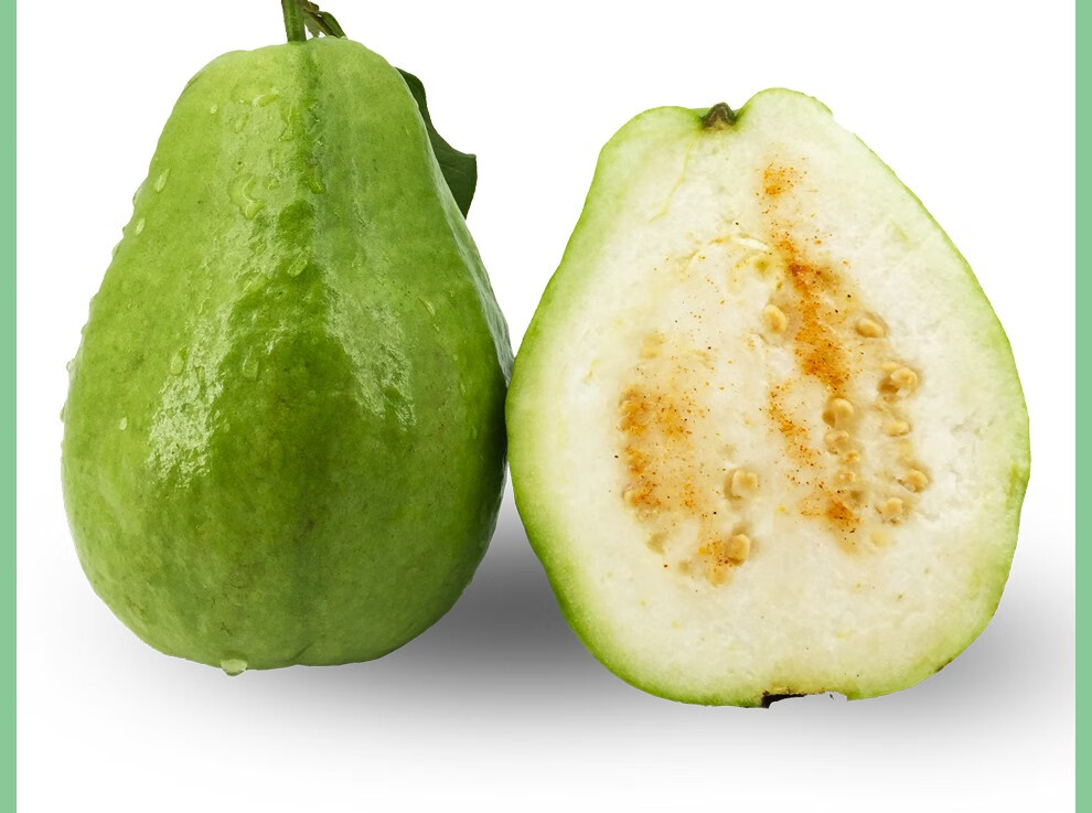 海南白心番石榴新鲜水果芭乐热带三亚送礼水果 1斤装