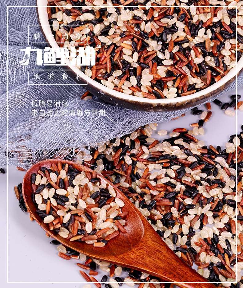 九鲤湖三色糙米新米 五谷杂粮糙米糊黑米红米粥粗粮胚芽米饭 500g一袋
