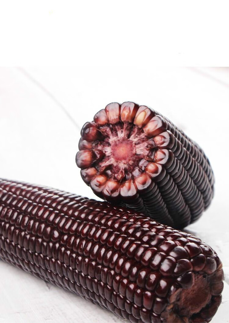 乌粒金花清甜玉米 乌粒金花清甜玉米乌粒金花青甜玉米紫色苞谷米真空