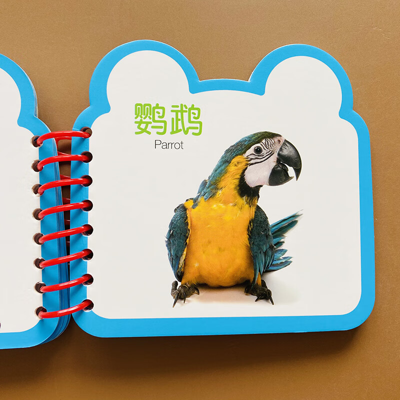 认识动物世界卡片宝宝动物认知书婴儿动物图片防水防撕儿童看图识物学