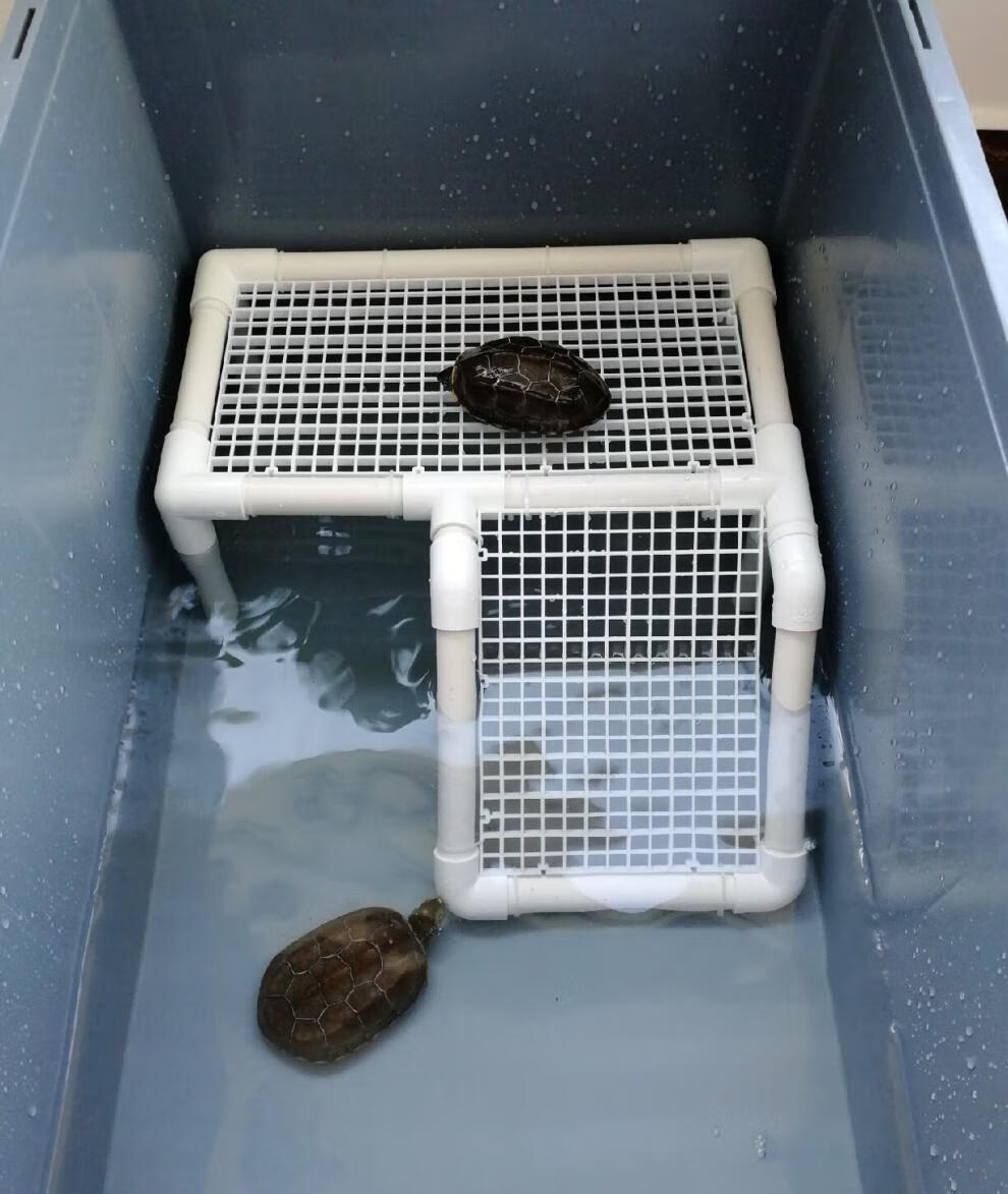 diy乌龟晒台爬坡台乌龟沙池水龟蛋龟晒龟台躲避台晒台 35*25*15爬右侧