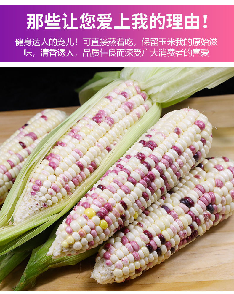精选直发新鲜花糯玉米10斤现摘农家生甜糯玉米5斤3斤带皮粘黏玉米棒子