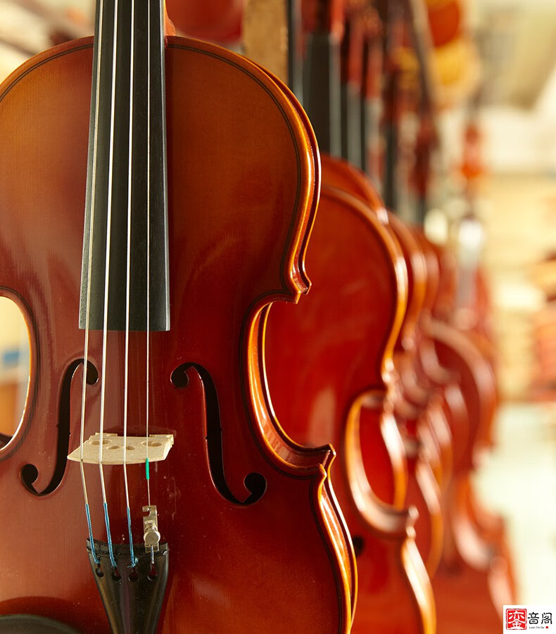 日本suzuki铃木小提琴经典款初学者入门考级演奏乐器220独立琴体110