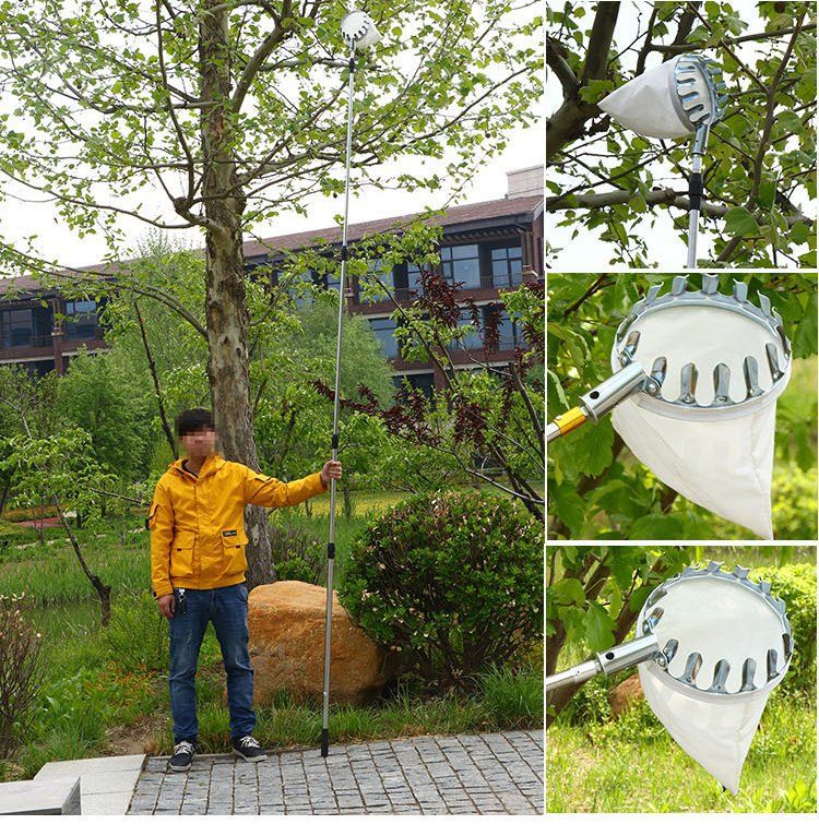 4米白杆 摘果器song镰刀钩子布兜【图片 价格 品牌 报价】-京东