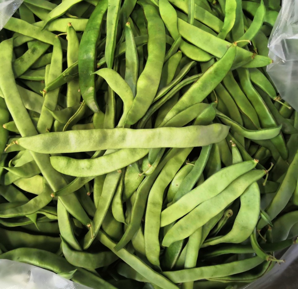 晨臻扁豆角新鲜扁芸豆豆角4斤四季豆刀豆新鲜蔬菜农家种植现摘 2000g