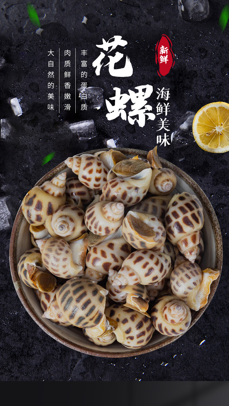 鲜美佳惠鲜活花螺冷冻新鲜水产生鲜东风螺贝类海鲜保鲜送达1kg2kg4kg