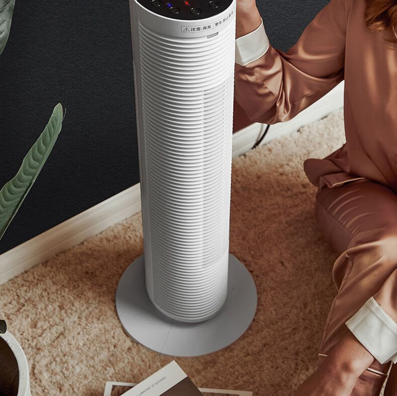 松下(panasonic) 暖风机立式取暖器家用电暖器电暖气浴室客厅冷暖两用