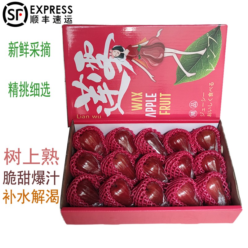 顺丰海南三亚新鲜黑金刚莲雾特产水果热带应季莲雾果孕宝水果5斤大果