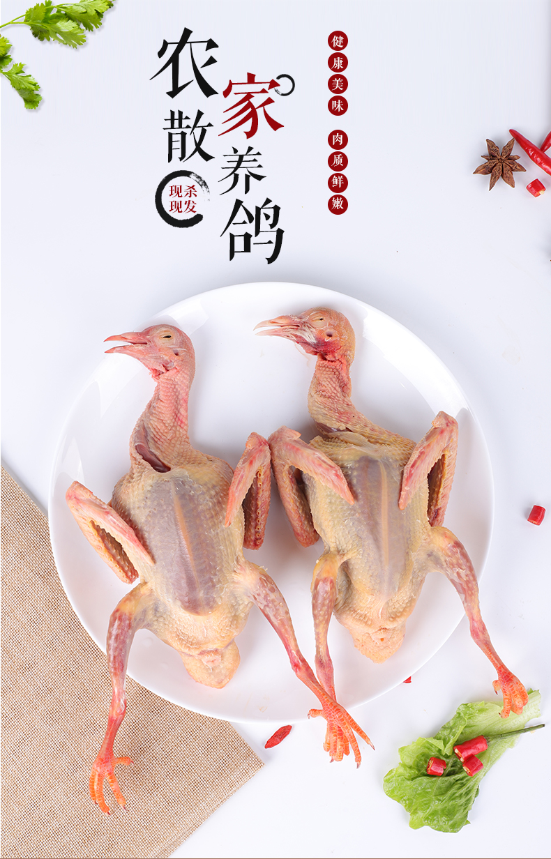 乡公馆 新鲜鸽子农家散养乳鸽活体现杀 鸽子2只装
