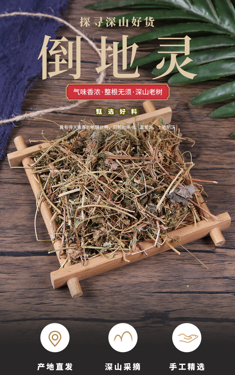 倒地铃500g克中药材倒地铃灯笼草假苦瓜风船葛帯藤苦楝倒地铃干货