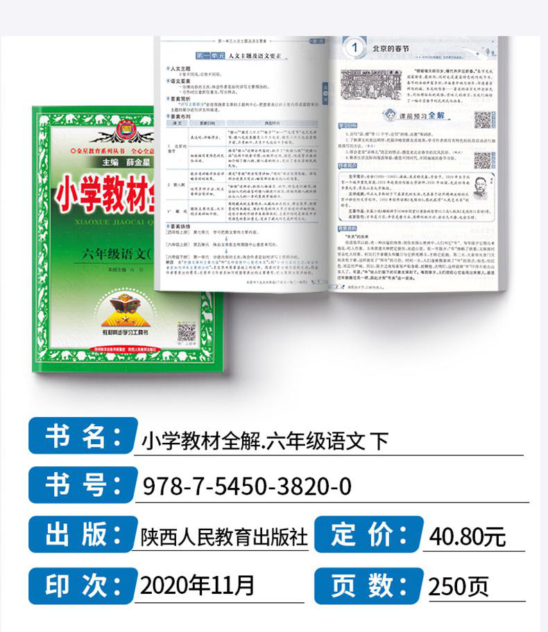 2021春新版小学教材全解六年级下册语文人教部编版小学生6年级教师