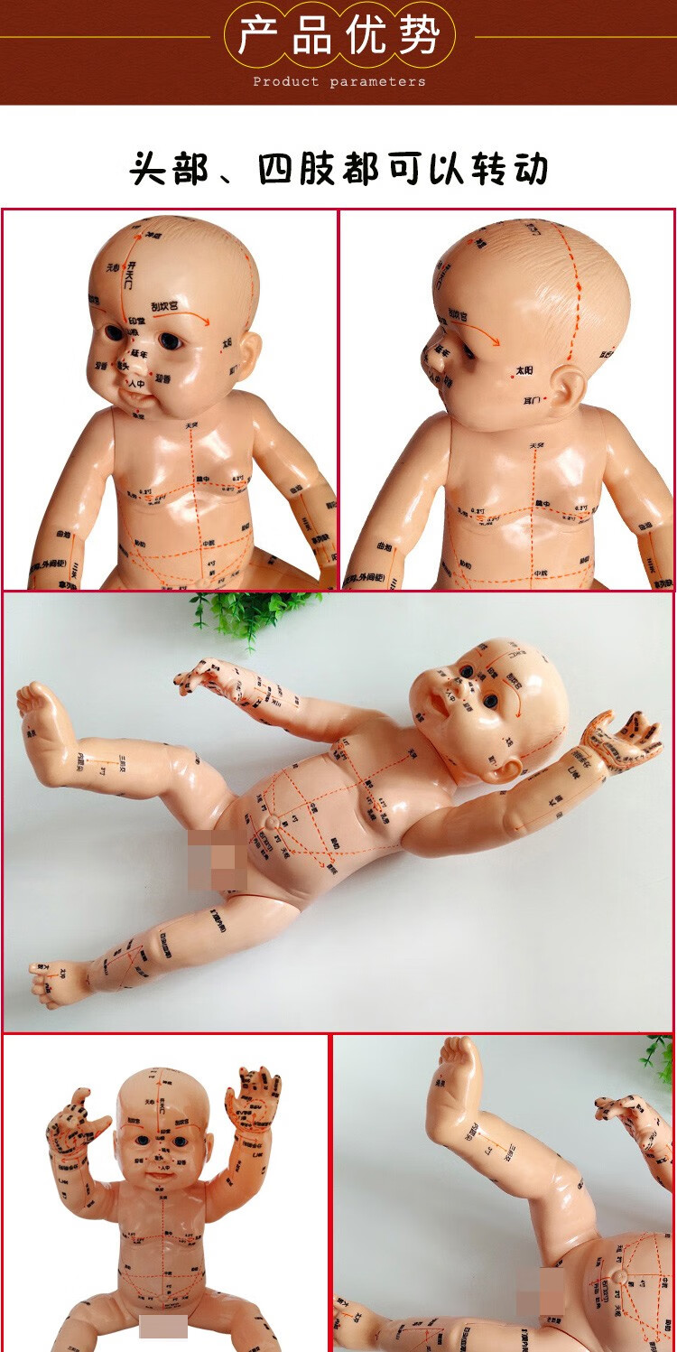 丰帆 小儿推拿模型 穴位模型 经络按摩人体带穴位模型 月嫂培训中心