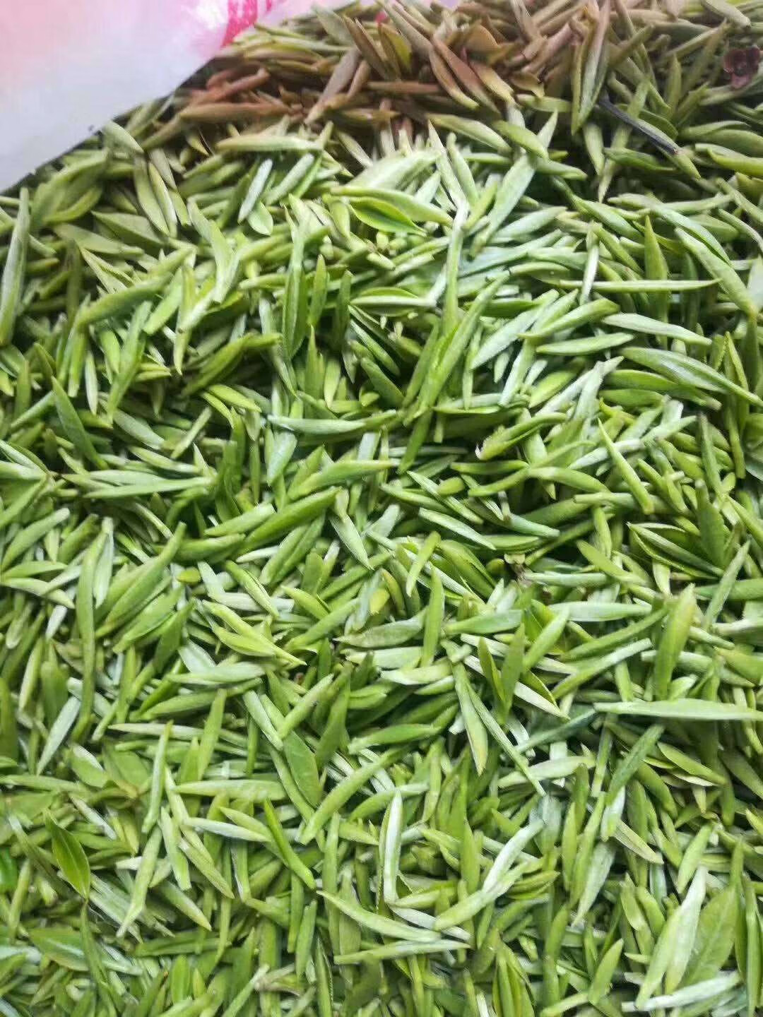 雀舌绿茶竹叶茶青茶叶四川高山明前散装250g雀舌茶