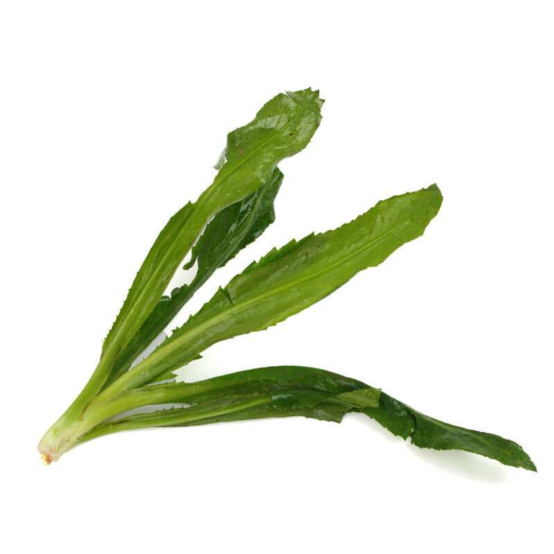 新鲜刺芫荽大香菜刺芹洋鹅芥假芫茜元西缅芜荽泰国越南香菜5斤无根