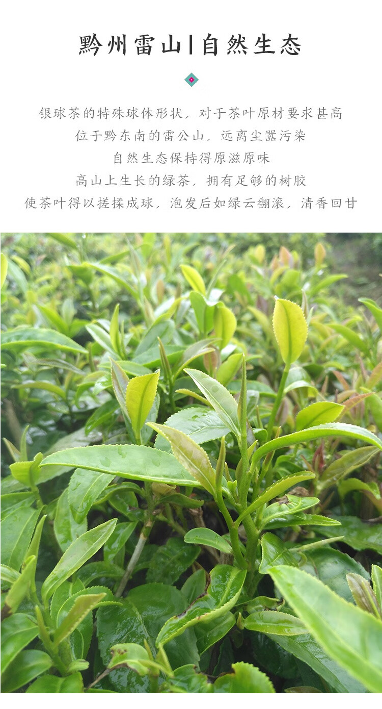 网易严选黔东南雷山特级绿茶银球茶茶叶50克