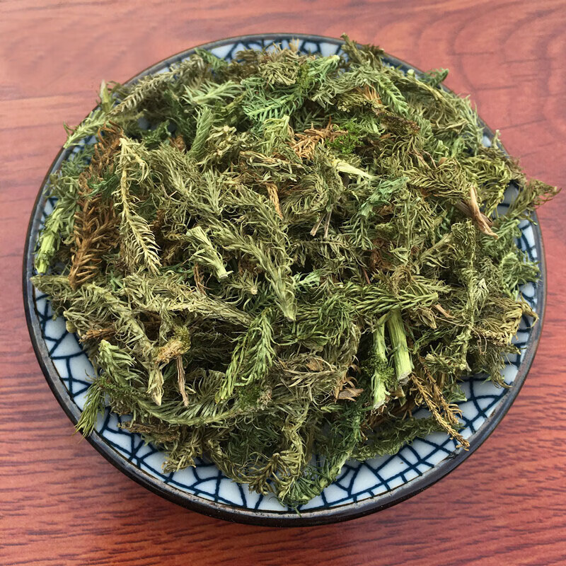 中药材伸筋草筋骨草舒筋草500克