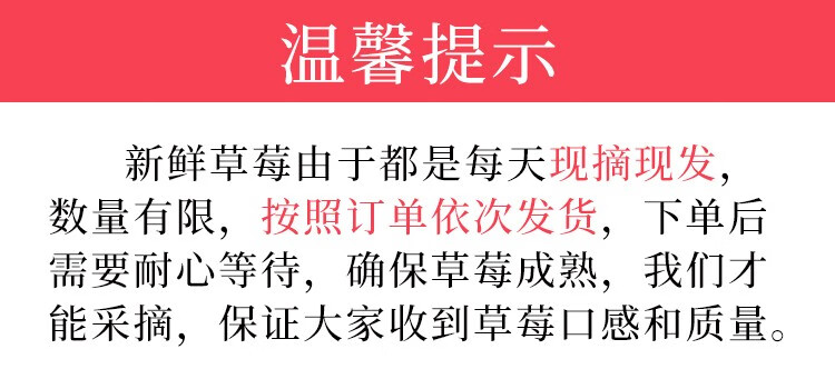105852-【凉山特产馆】大凉山牛奶草莓新鲜水果现摘现发 空运直达 VS丹东草莓红颜 4盒中大果-详情图