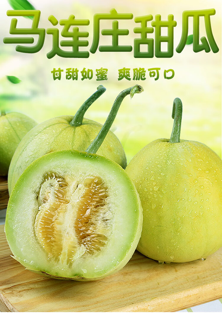 新鲜马连庄甜瓜当季时令水果现摘脆甜小香瓜甜宝蜜宝孕妇5斤 3斤家庭