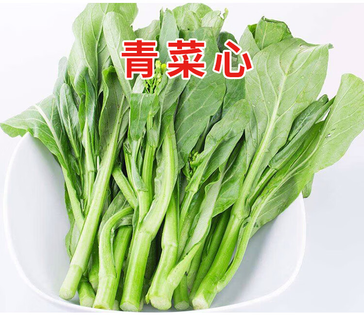 上海青菜心红菜苔木耳茴香苦菊苣茼蒿黄心阳台蔬菜种子籽孑 麦菜约200