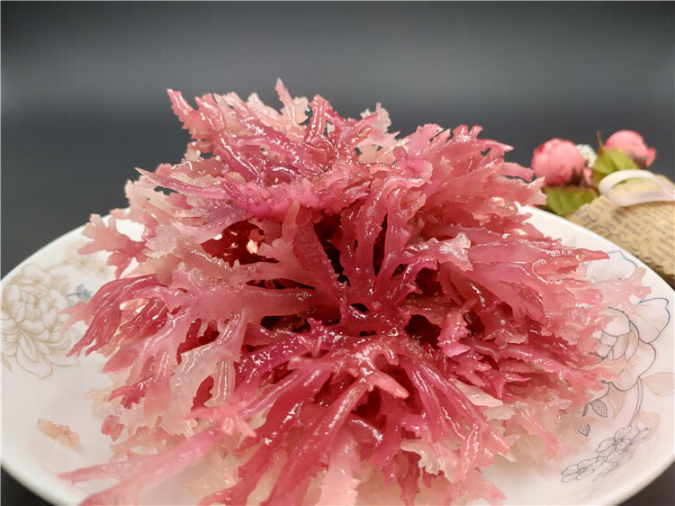 5折石花菜500g一级菜血草海燕窝海石花膏海凉粉海冻菜干货