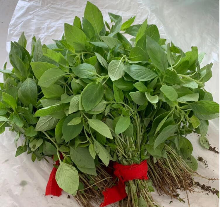 河南新鲜荆芥菜 大叶荆 芥茎调味菜 2斤【图片 价格 品牌 报价】-京东