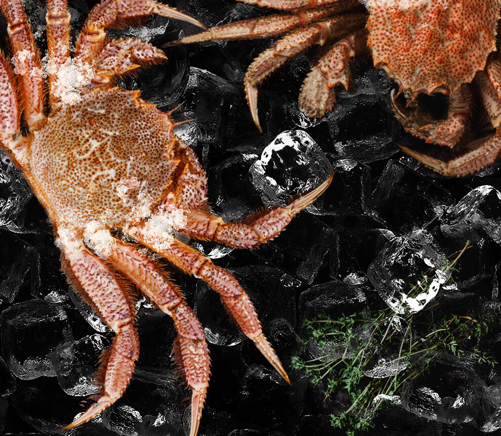 瀚元汇鲜北海道红毛蟹海鲜水产冷冻毛蟹冰鲜大螃蟹 1.0-1.