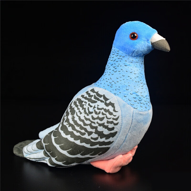 鸽子玩偶 仿玩偶 超萌鸽子公仔 小信鸽毛绒玩具礼品礼物 白鸽 头到