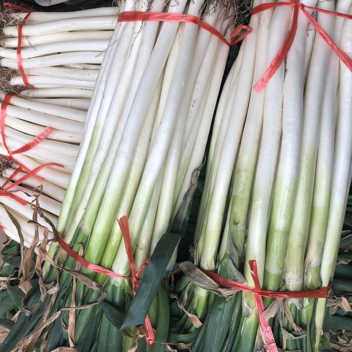 安丘铁杆大葱5斤 农家大葱甜葱 香葱 山东大葱脆甜 精品粗号去皮大葱5