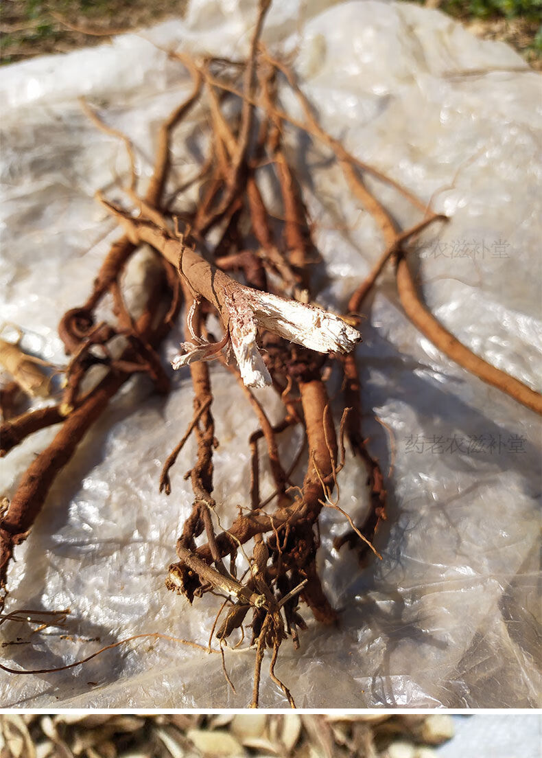 广西中药材千斤拔老鼠尾吊马桩金牛尾新鲜泡酒煲汤料无硫 500g(整条)