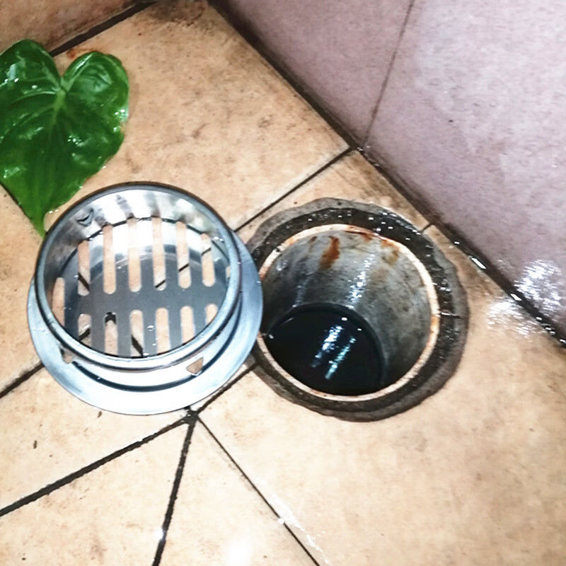 不锈钢天台地漏40pvc管卫生间过滤网去水院子天沟防堵隔树叶罩 8寸200