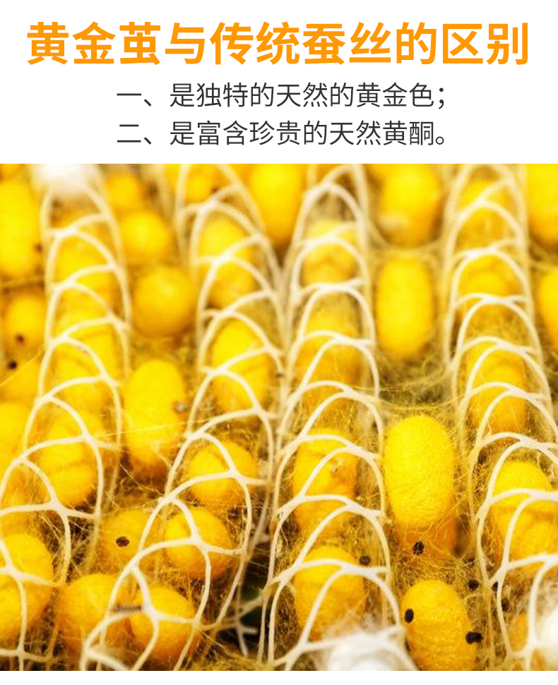 被保暖冬被子母被芯3178双宫茧黄金丝长丝3斤金装玉裹单人150x200cm