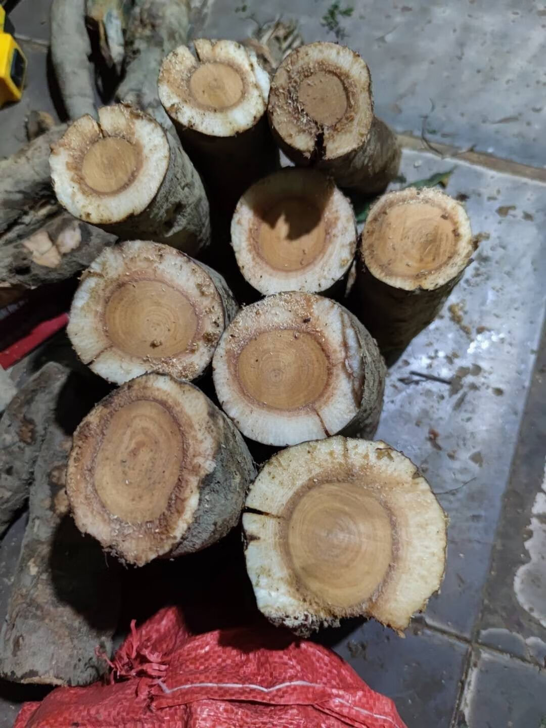 散结猫尾薯猫尾木树猫尾树根新鲜500克