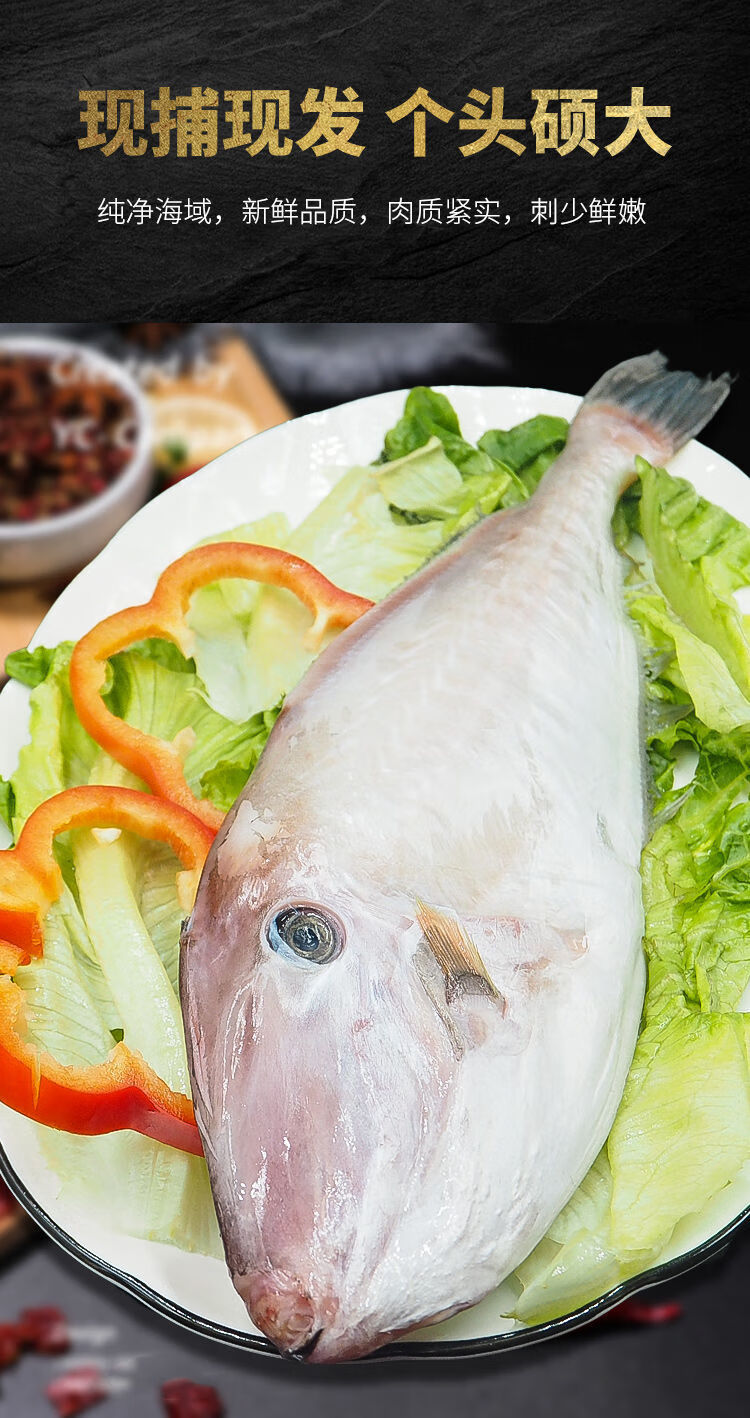 去皮馬面魚新鮮冷凍橡皮魚扒皮魚耗兒魚大號剝皮魚火鍋食材昌盛隆500g