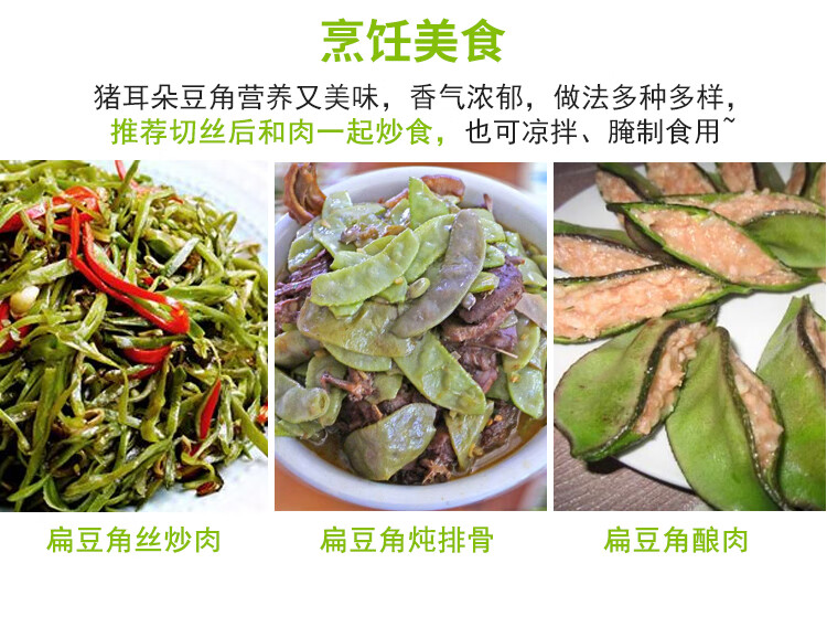 农家生态种植猪耳朵豆角扁豆角绿色新鲜蔬菜现摘现发3斤装