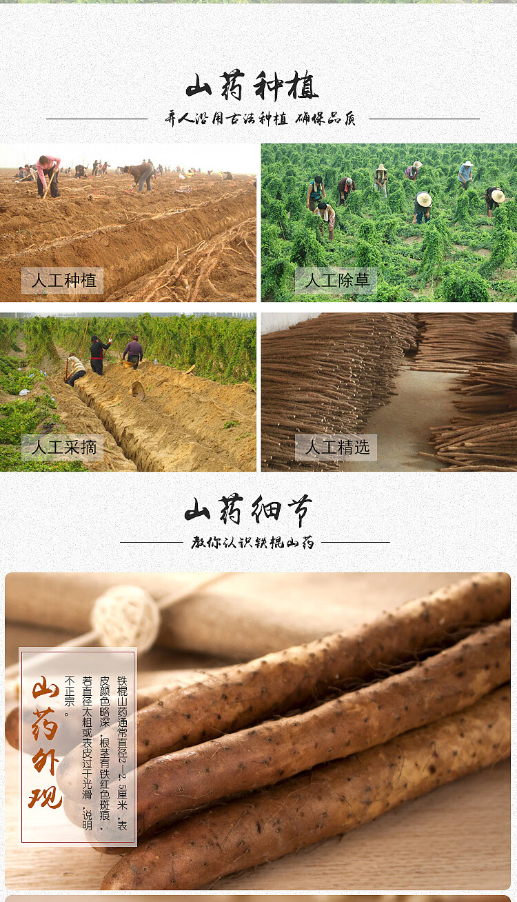 2020年9斤铁棍山药新鲜蔬菜垆土山药小白嘴山药3-9斤装多规格可选