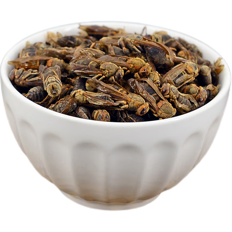 北京 马蜂干 中药材 泡酒大黄蜂 葫芦蜂 新货泡酒料 内廷上用 50-500