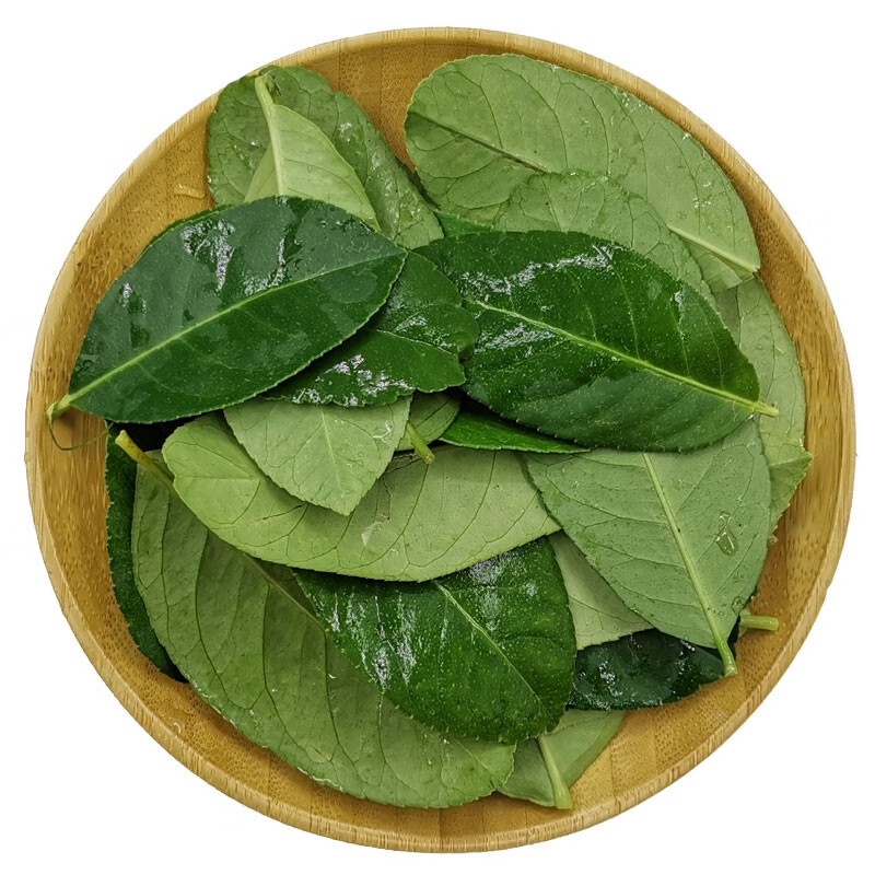 新鲜柠檬叶香水柠檬净叶火锅底料调料冬阴功汤调味料 250克