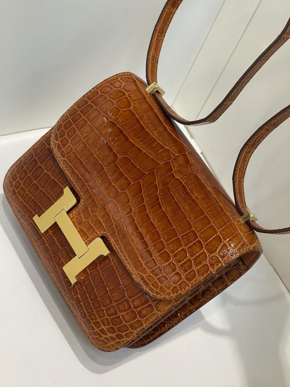 鳄鱼皮尼罗高光亮面鳄鱼皮女包h扣康康包19cm空姐包休闲高货小方包