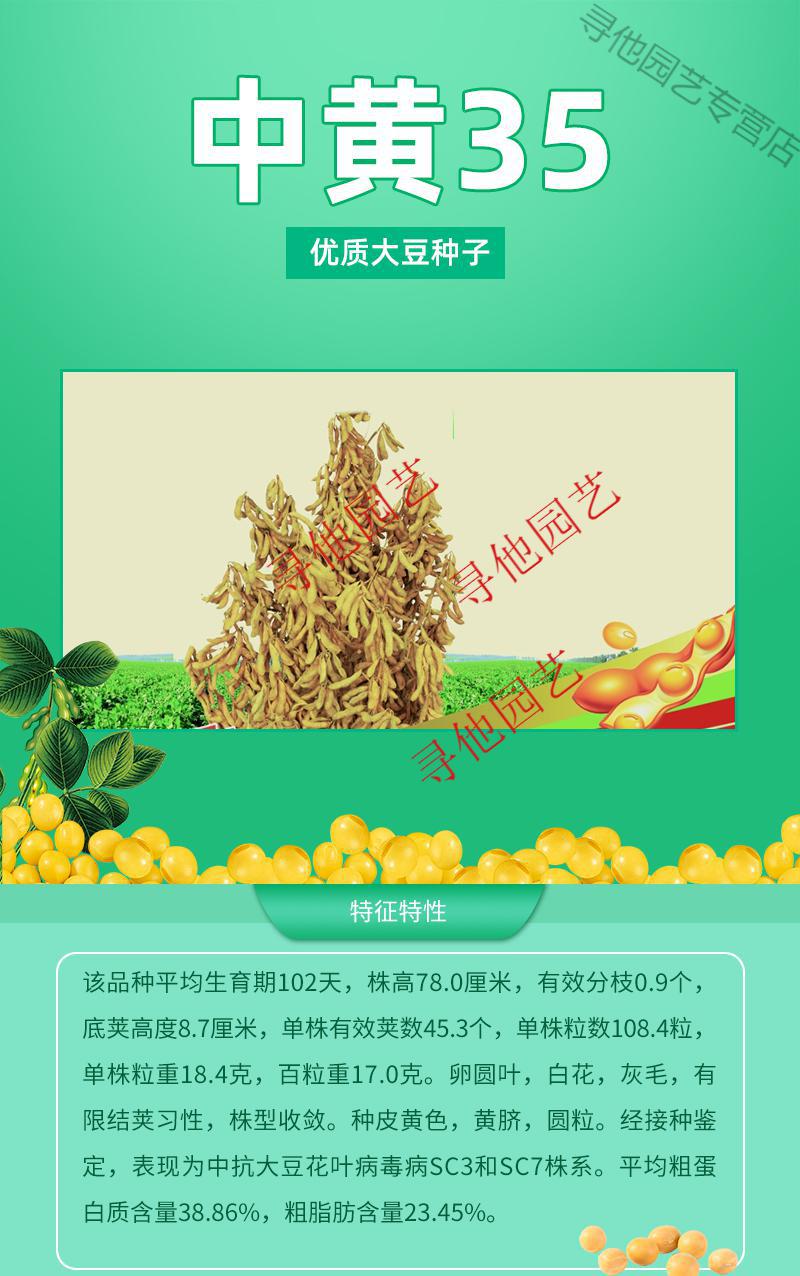 中黄35抗旱适应性强发芽率高抗病籽孑大豆种子新品种出油高特大抗10斤