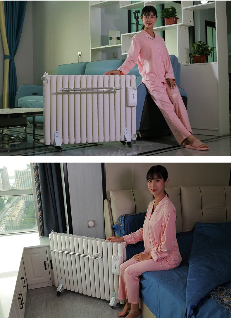 家用电暖器水电暖气片取暖器注水加水电加热水暖 12柱普通智能款 10