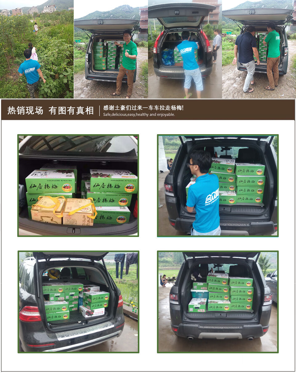仙居杨梅东魁大杨梅新鲜生鲜6斤装现摘顺丰发货 时令水果团购合众真味