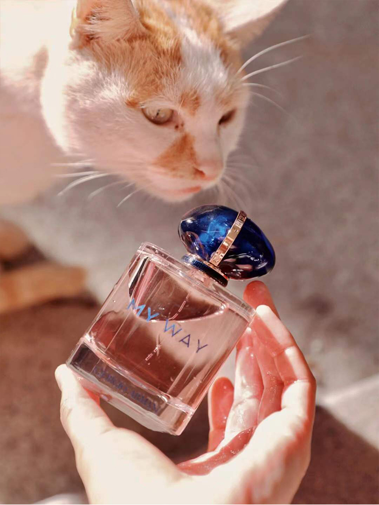 七夕情人节礼物520礼物~阿玛尼my way自我无界香水女士浓香edp 50ml