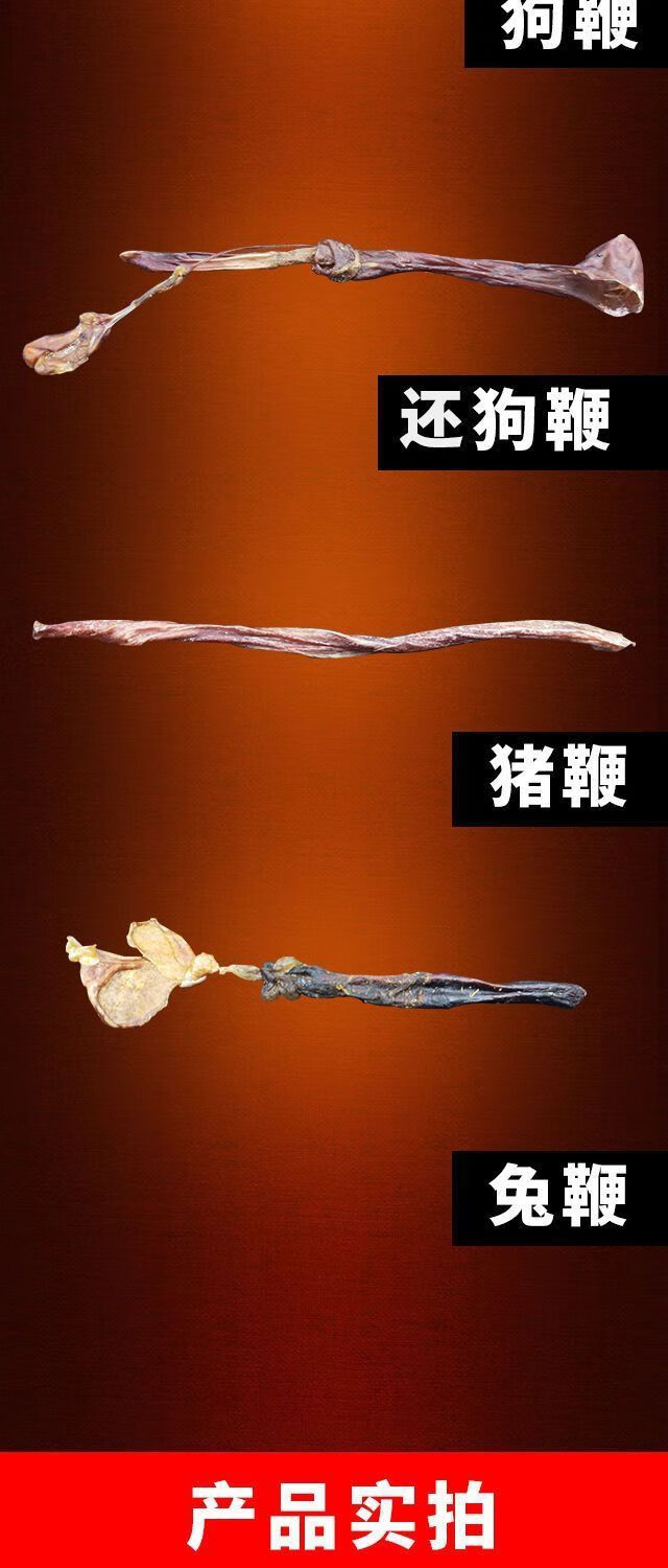 10动物鞭养生泡酒料32味滋补鹿鞭泡酒人参滋补玛卡男性滋补 10种动物