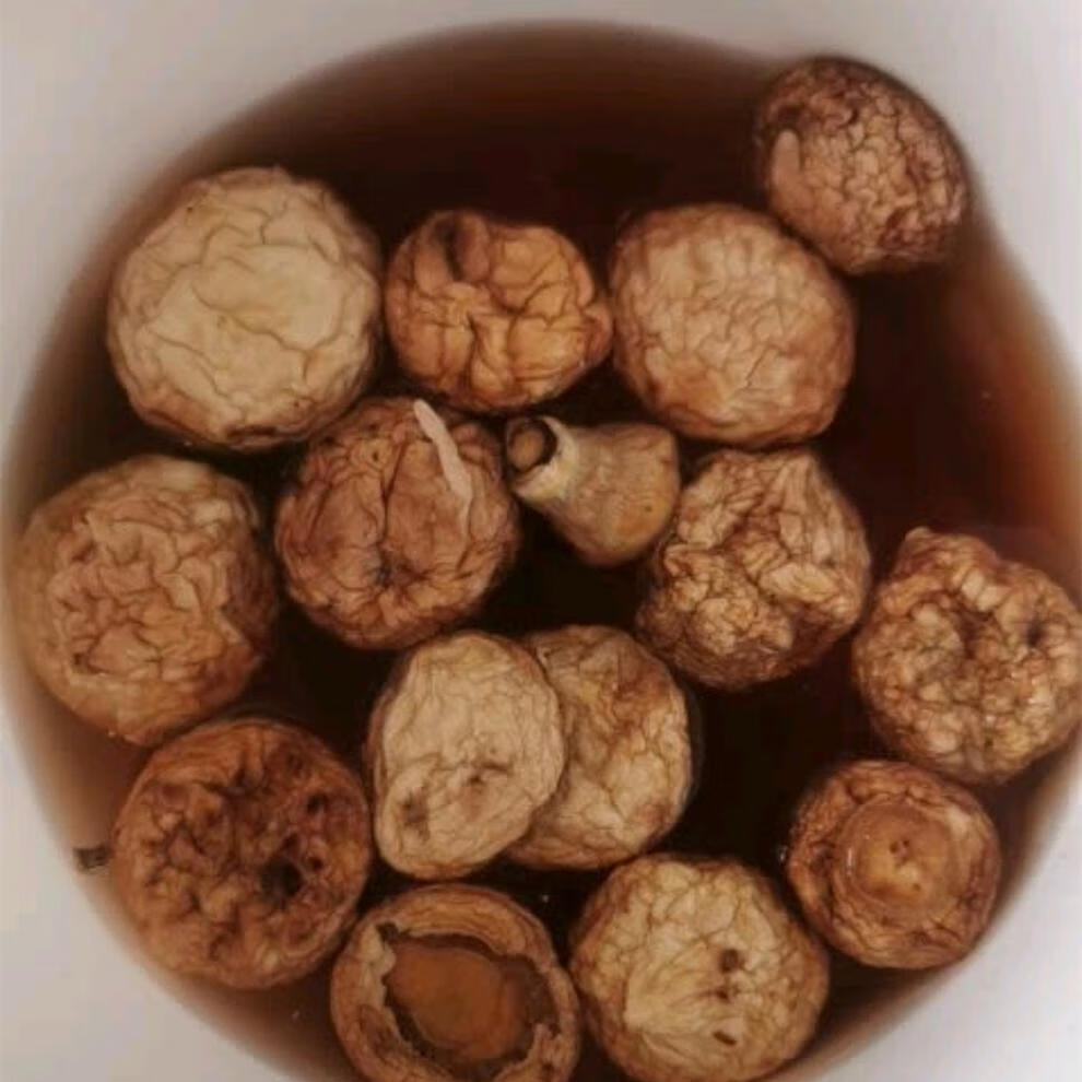 张家口口蘑新鲜干货小干香菇蘑菇河北省张北坝上草原特产