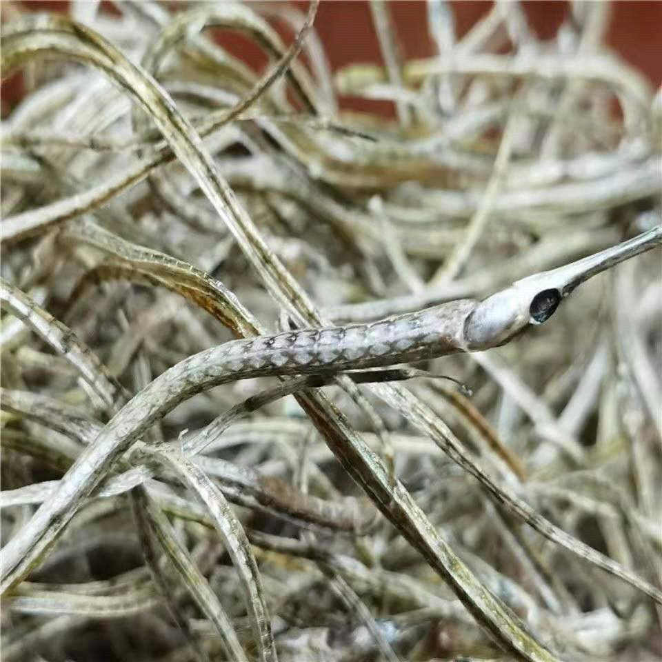 北京同仁堂原料小海龙干货大海龙干泡酒野生六角海龙干无硫中药材小