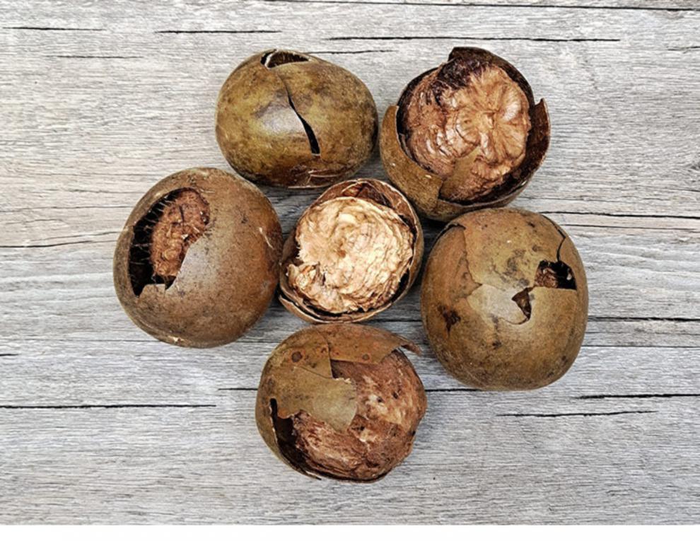 罗汉果干果50g-500g破壳大果散装广西桂林永福特产罗汉果泡水花茶 100
