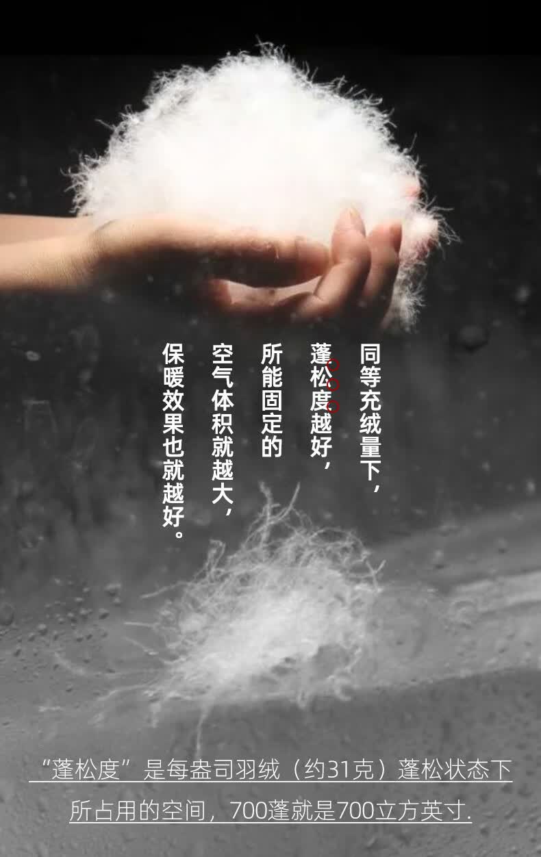 顶级户外 土拨鼠 Marmot V73263 185克700蓬拒水鹅绒 男士面包羽绒服 图9