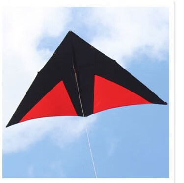 风筝成人王侉子风筝大型三角544伞布软碳杆微风易飞大人专用潍坊 5