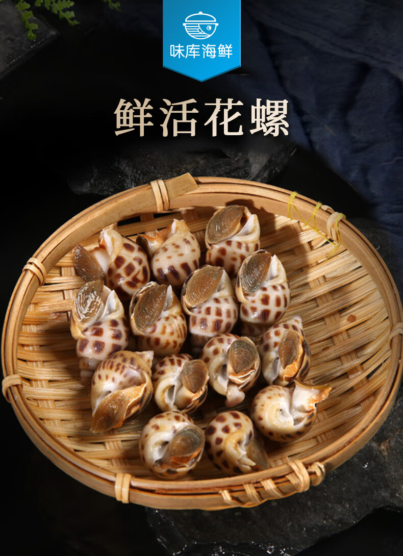 【鲜活】味库鲜活花螺500g 海鲜贝类水产 500g